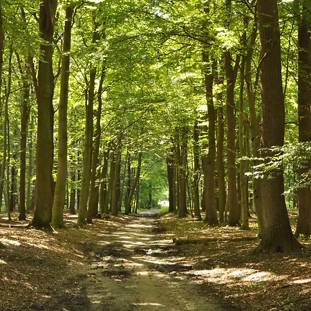 Hotel Zur Bever Telgte