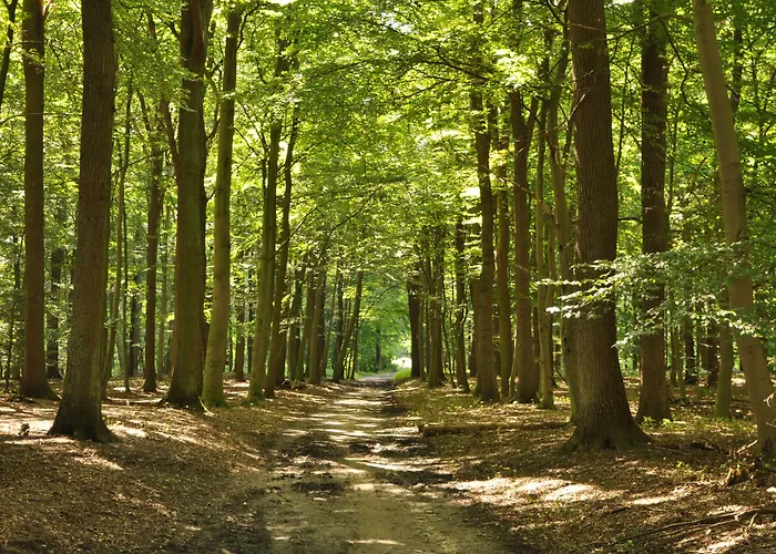 Hotel Zur Bever Telgte